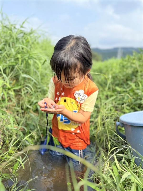 用水路に入って、手のひらの生き物を見つめる子ども