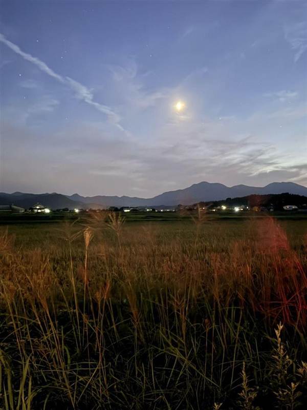 刈り取りのころの田んぼと月